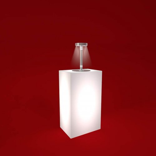 Lilly Light