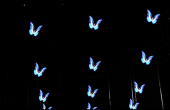 Kinetic Holographic Screen 