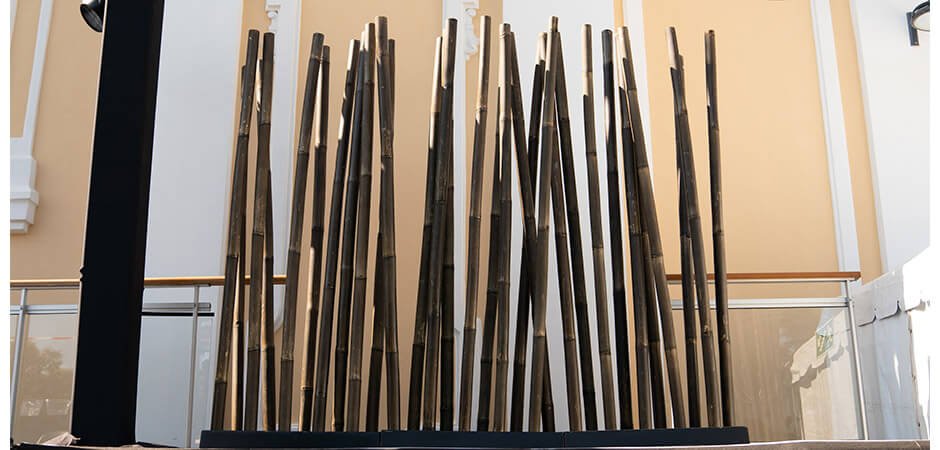 Bambu