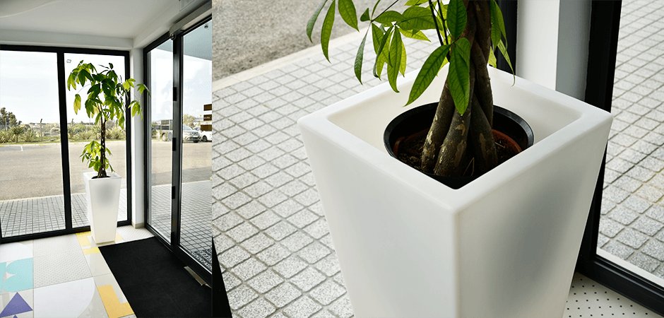 Vaso Y-Pot Light
