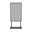 Digital Signage Holographic 55